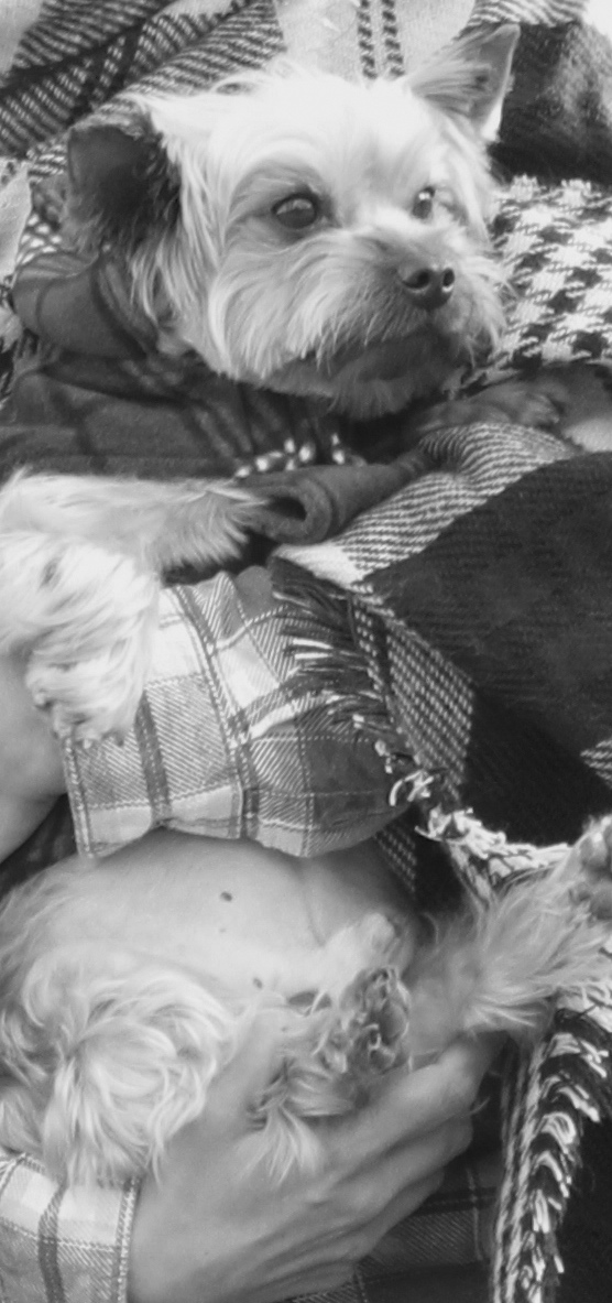 IMG_0734_desaturation-2